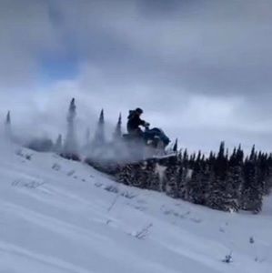 Meet your Posher, Noah